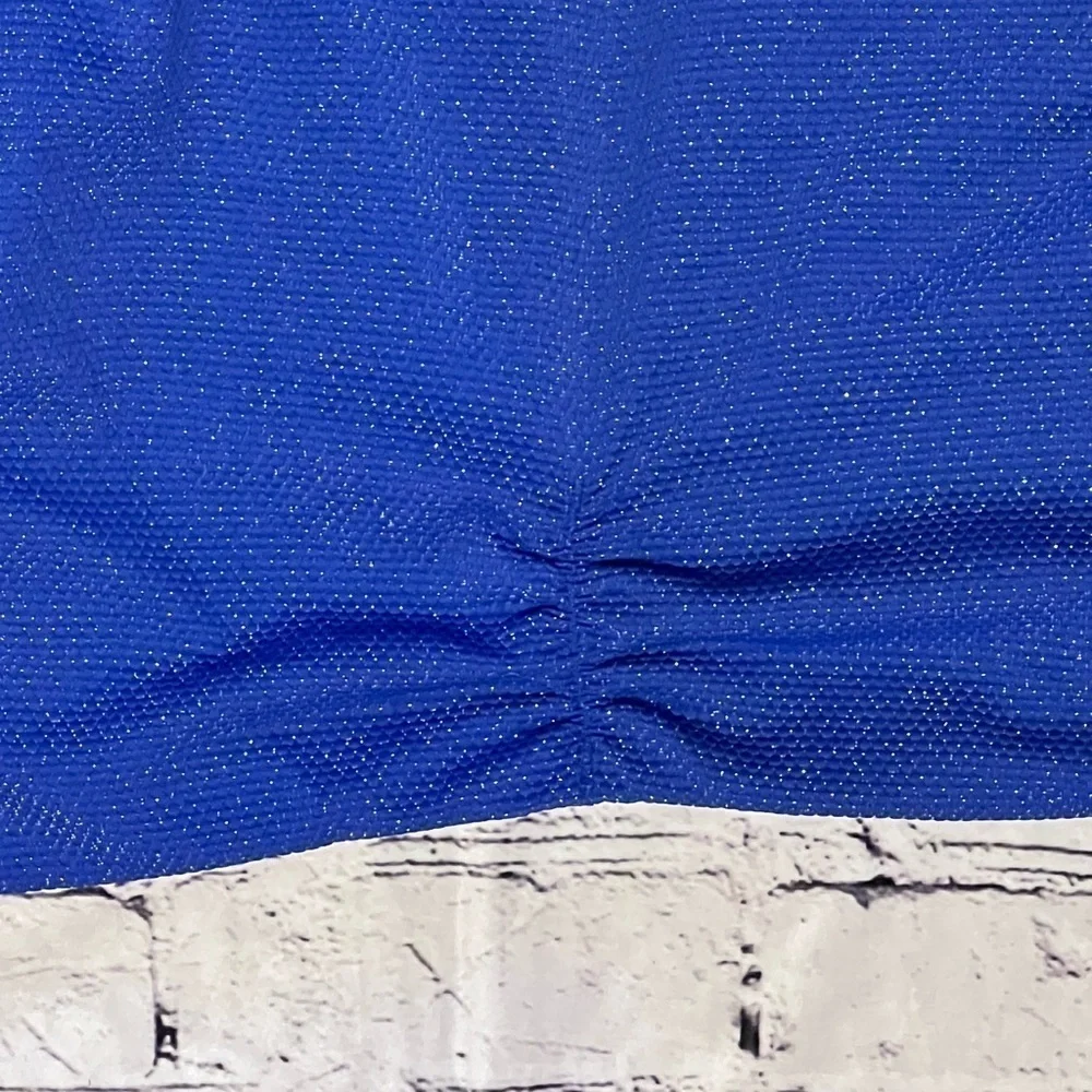 Women’s Time and Tru metallic shiny cobalt blue bikini bottom size 3x (24w-26w)